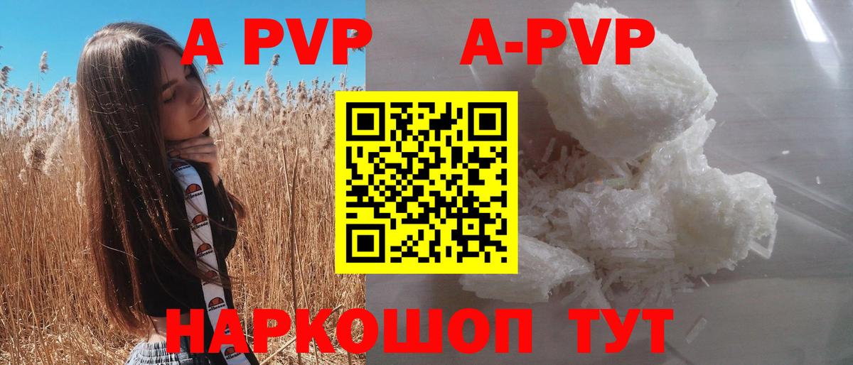 A-PVP СК КРИС Долгопрудный
