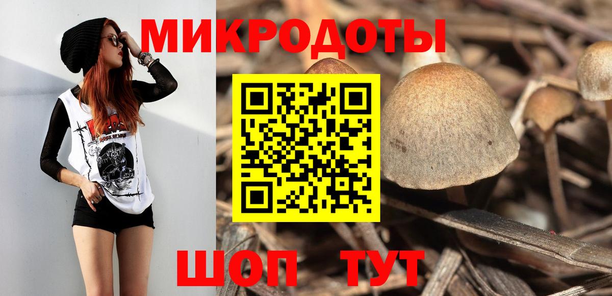 Псилоцибиновые грибы прущие грибы Долгопрудный